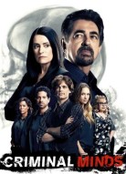 Мыслить как преступник 16 сезон