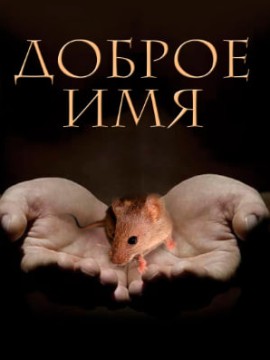 Доброе имя