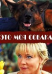 Это моя собака