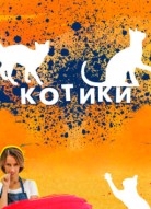 Котики