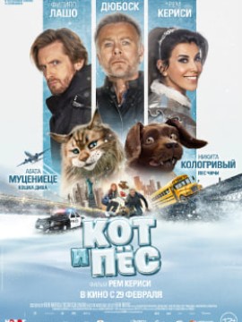 Кот и пёс