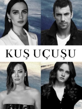 Полёт птицы