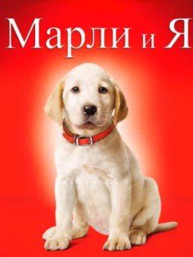 Марли и я