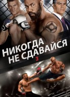 Никогда не сдавайся 3