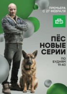 Пёс 2 сезон