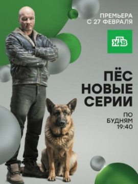 Пёс 2 сезон