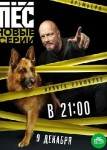 Пёс 6 сезон