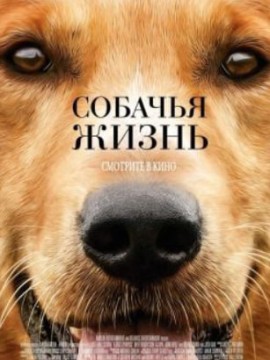 Собачья жизнь