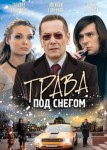 Трава под снегом
