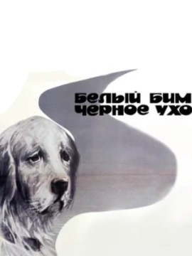 Белый Бим Черное ухо