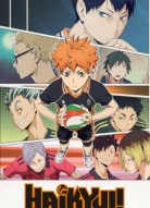 Волейбол!! 1 сезон