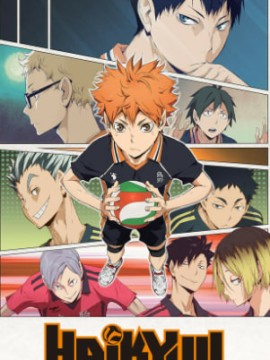 Волейбол!! 1 сезон