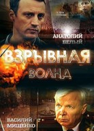 Взрывная волна