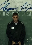 Северная звезда